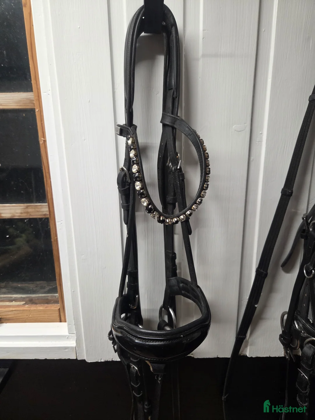 Träns hästutrustning till salu: Träns - Annons 1