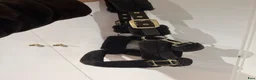 Övrig Hästutrustning hästutrustning till salu: Fluffig transportgrimma - Annons 1