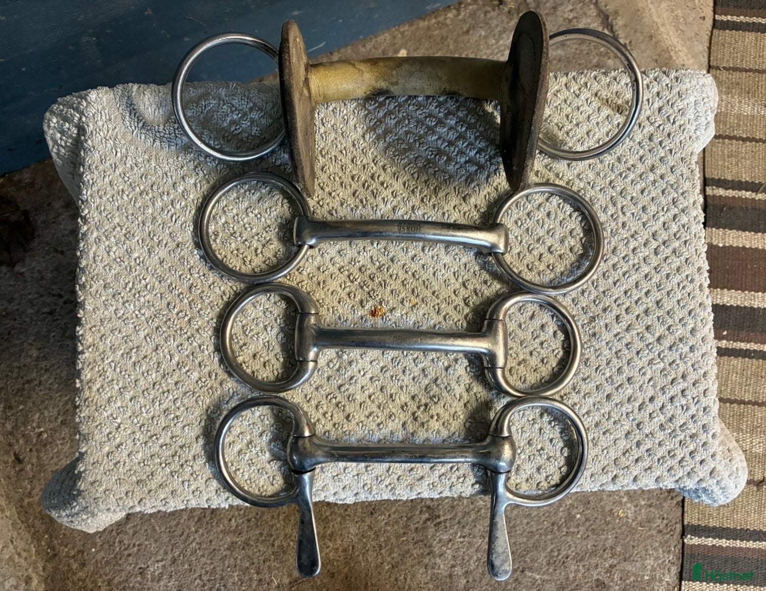 Bett hästutrustning Bett 9,5 - Annons 11