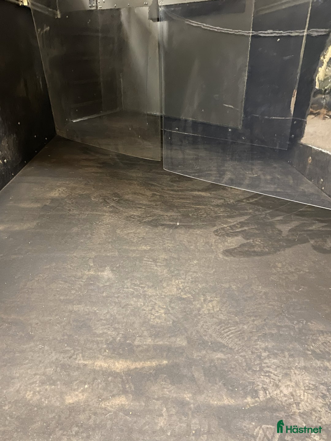 Hästtransporter  fordon & transport till salu: Diagonallastad 3-hästars Fautras i Kvicksund - Annons 12