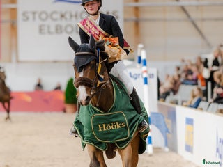 hästar Söker häst för vidareutbildning/försäljning i Västerås - Annons 21