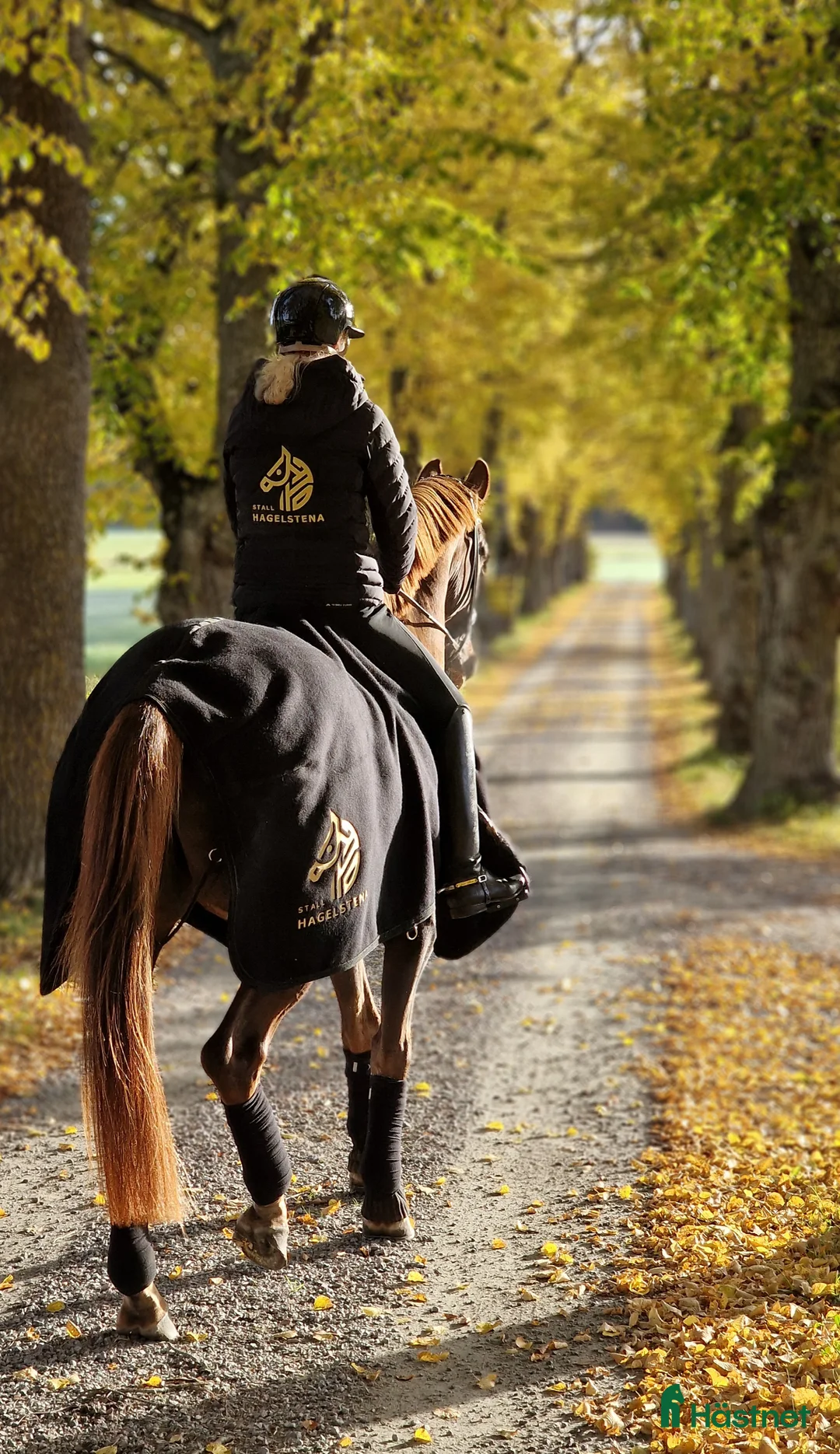 Galleribild {{count}}