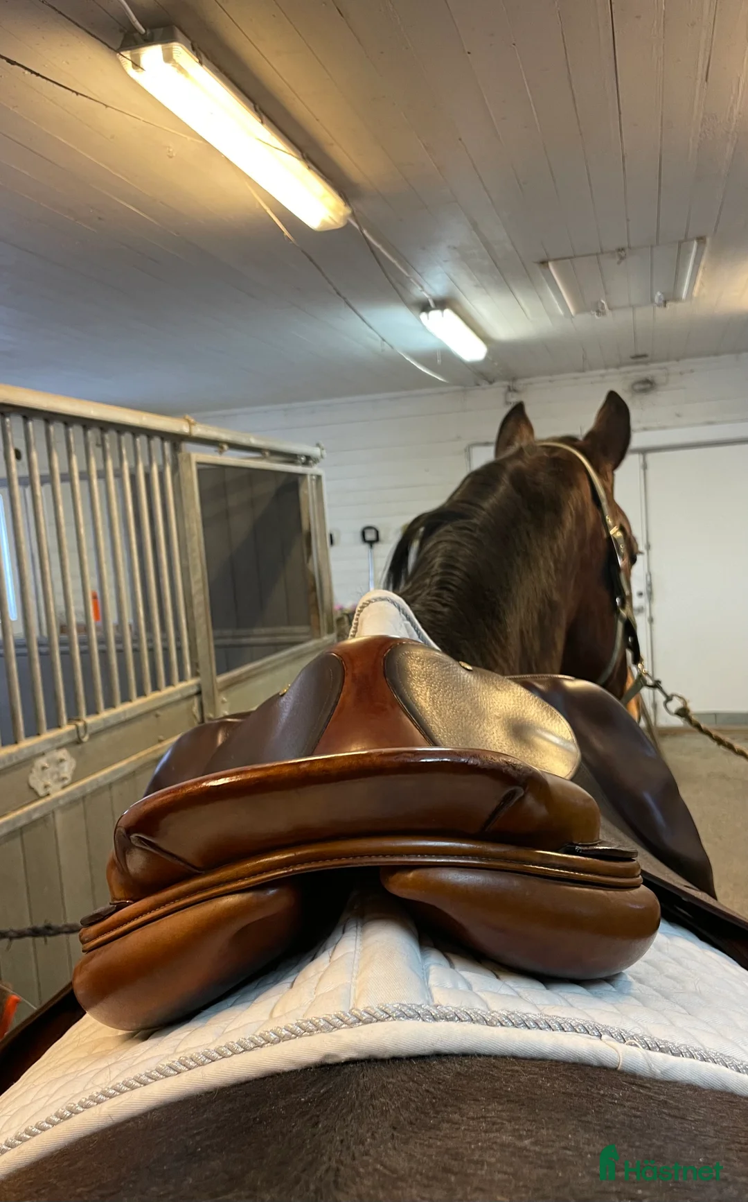 Sadlar hästutrustning till salu: Bruno Delgrange Nino 17,5" i Järlåsa - Annons 8