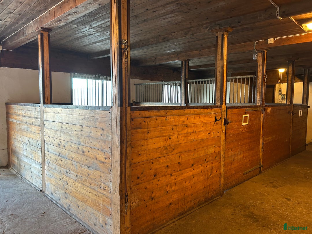  stallplats finnes: Stallplats Kungsbacka  i Kungsbacka - Annons 7