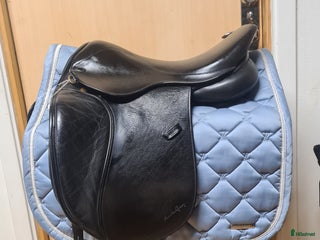 Sadlar hästutrustning till salu: Santa Cruz i Hamneda - Annons 15