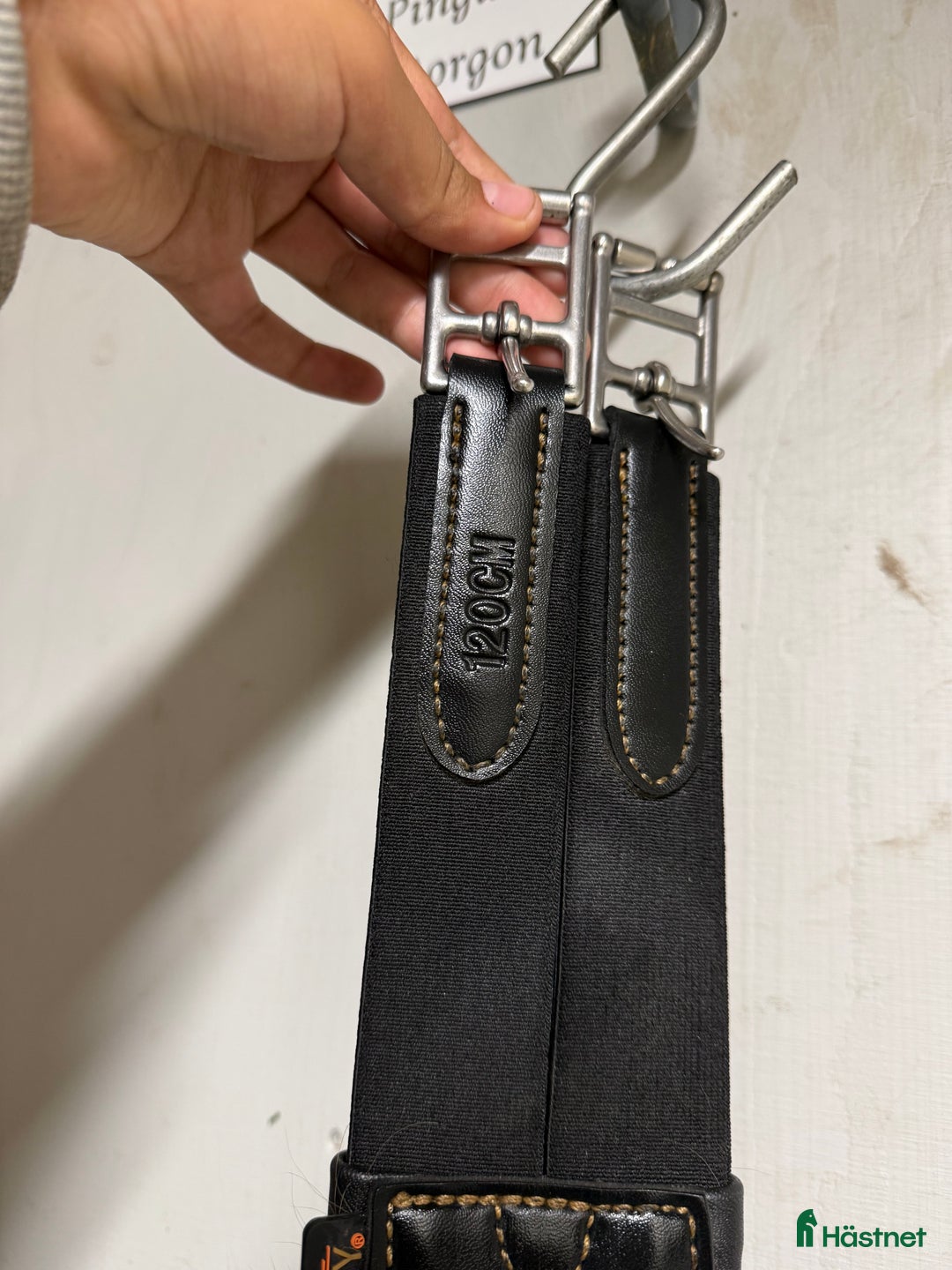 Sadeltillbehör hästutrustning till salu: Svart Kentucky magplatta  i Tierp - Annons 3