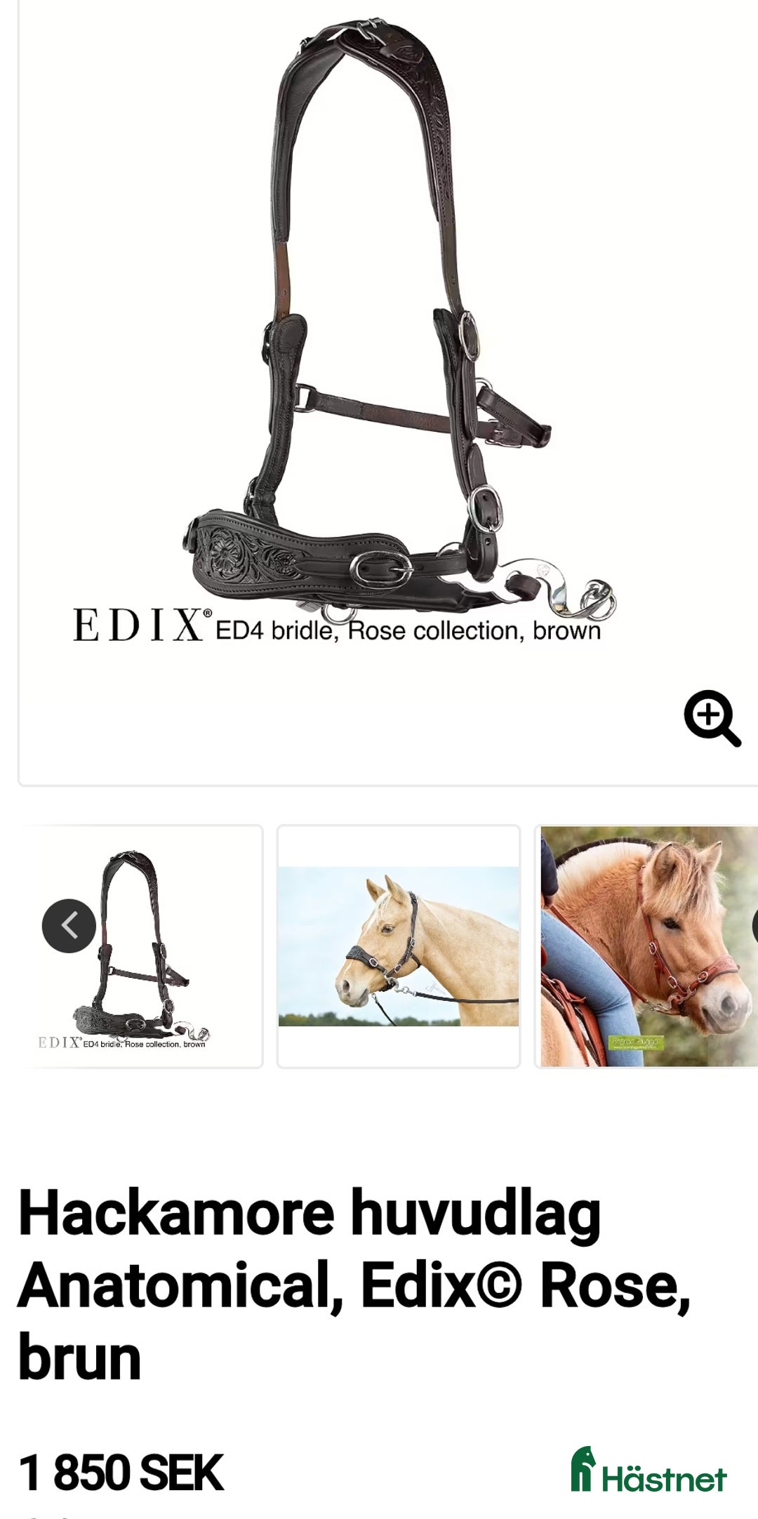 Träns hästutrustning till salu: Bettlöst Hackamore  i Ludvika - Annons 2