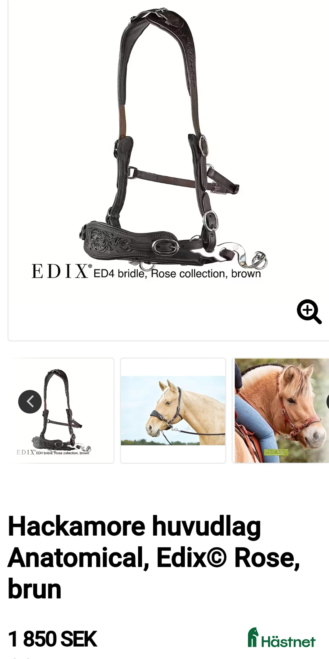 Träns hästutrustning till salu: Bettlöst Hackamore  i Ludvika - Annons 2