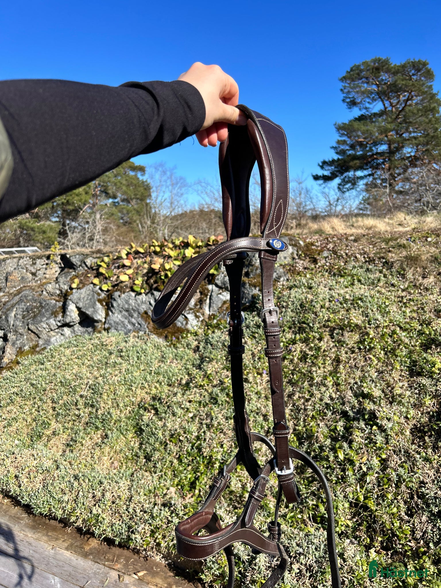 Träns hästutrustning Träns PS of Sweden - Annons 6