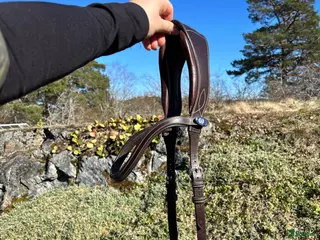 Träns hästutrustning Träns PS of Sweden - Annons 6