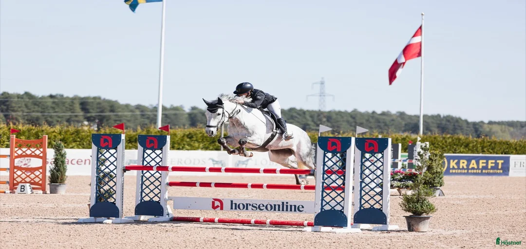 Galleribild {{count}}