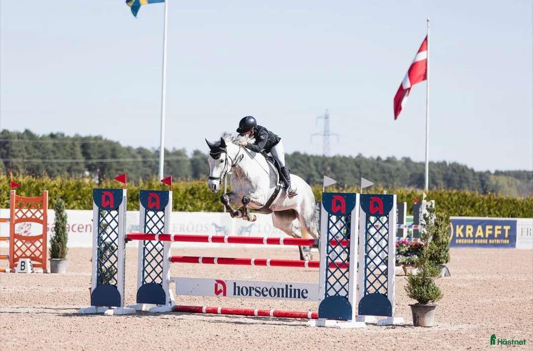 Galleribild {{count}}