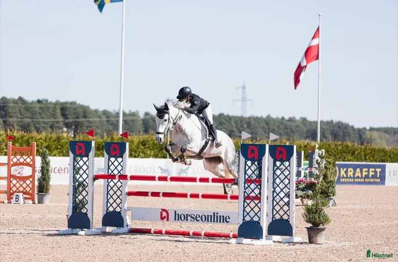 Galleribild {{count}}