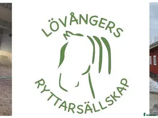 foderhäst Foderhäst sökes - Annons 1