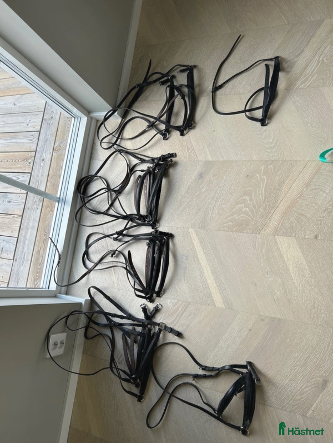 Träns hästutrustning till salu: Remont nosgrimmor i olika storlekar  i Listerby - Annons 1