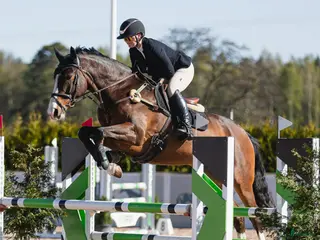 hästar Snygg och mångsidig valack! i Röstånga - Annons 7