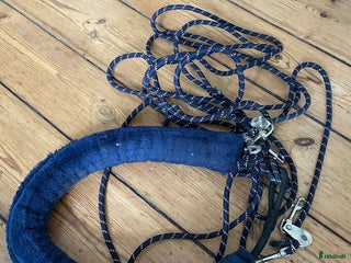 Övrig Hästutrustning hästutrustning till salu: Longeringsystem i Norrköping - Annons 8