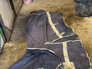 Täcken hästutrustning Blått rägntäcke - Annons 5