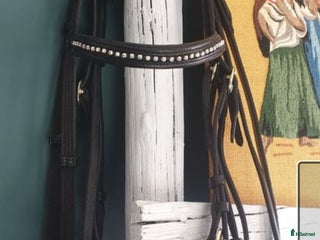 Träns hästutrustning till salu: Nyblingat svart träns ponny/cob i Timrå - Annons 18