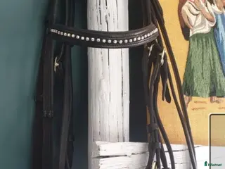 Träns hästutrustning Nyblingat svart träns ponny/cob i Timrå - Annons 5