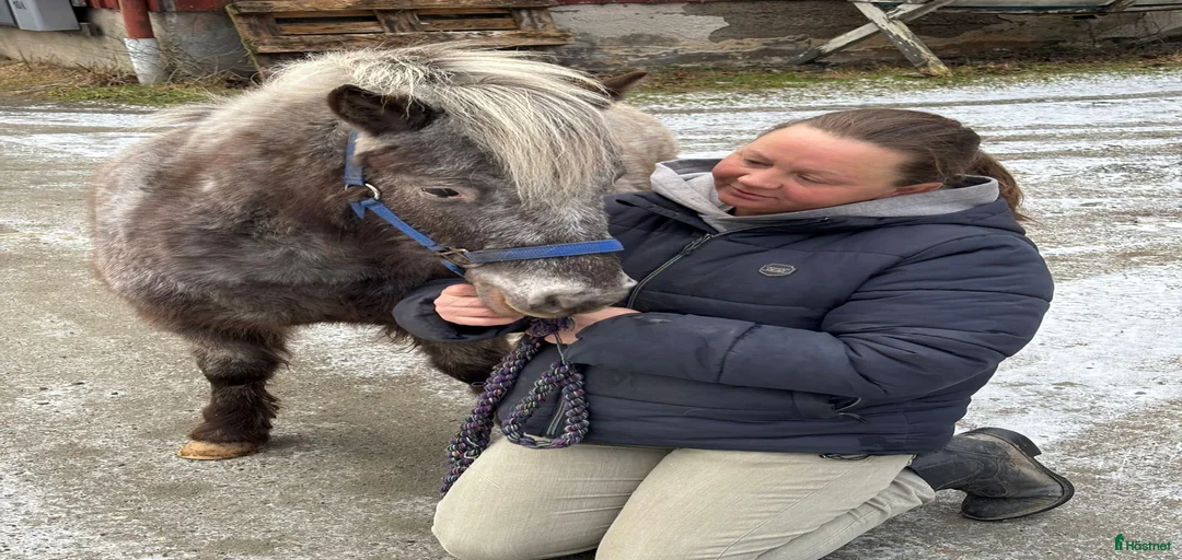 Galleribild {{count}}