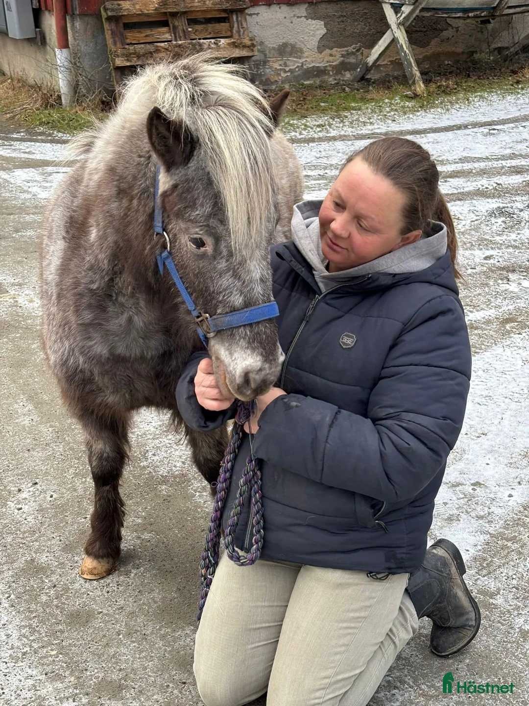 Galleribild {{count}}