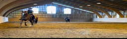  stallplats finnes: Boxplats på Sjöbergs Säteri - Annons 5