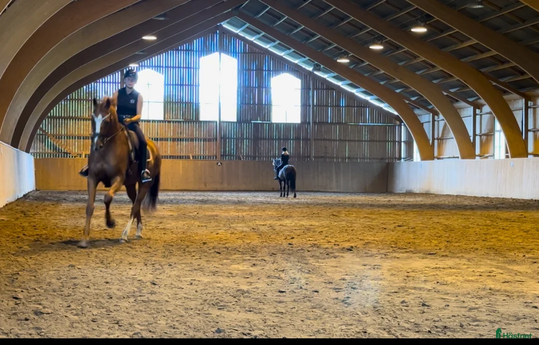  stallplats finnes: Boxplats på Sjöbergs Säteri - Annons 5