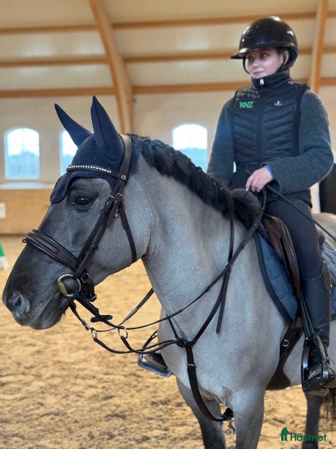 Hoppning hästar till salu: Tävlingskompis  i Fjärås - Annons 2