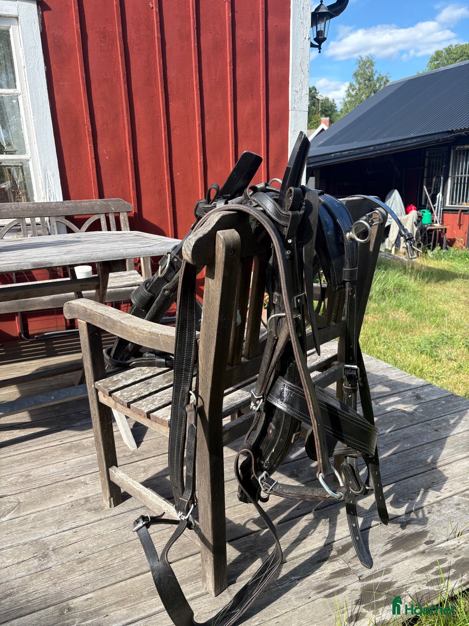 Körselar körning till salu: Loksele till Fjording D ponny - Annons 14
