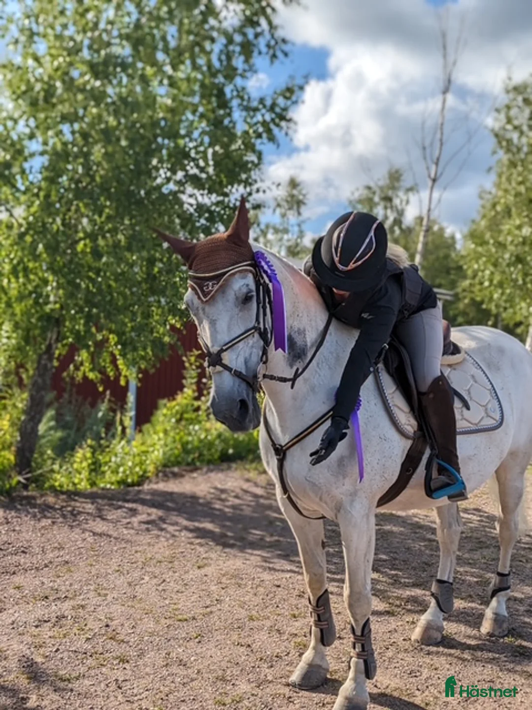 Hoppning hästar sökes: Foderhäst sökes! i Tibro - Annons 1