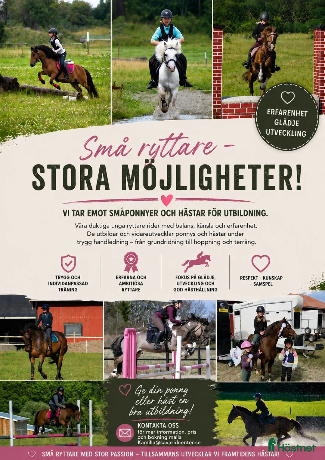  hästservice finnes: Erbjuder utbildning av er ponny/häst - Annons 2