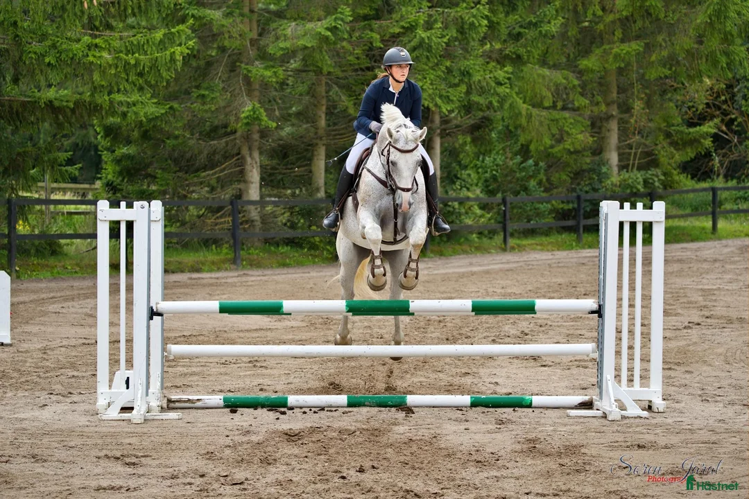 Galleribild {{count}}