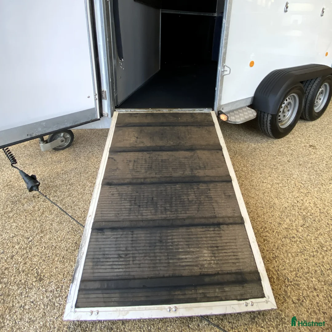 Hästtransporter  fordon & transport till salu: Fin Fautras Oblic+2 2021 m ramp o öppningsbar sida - Annons 13