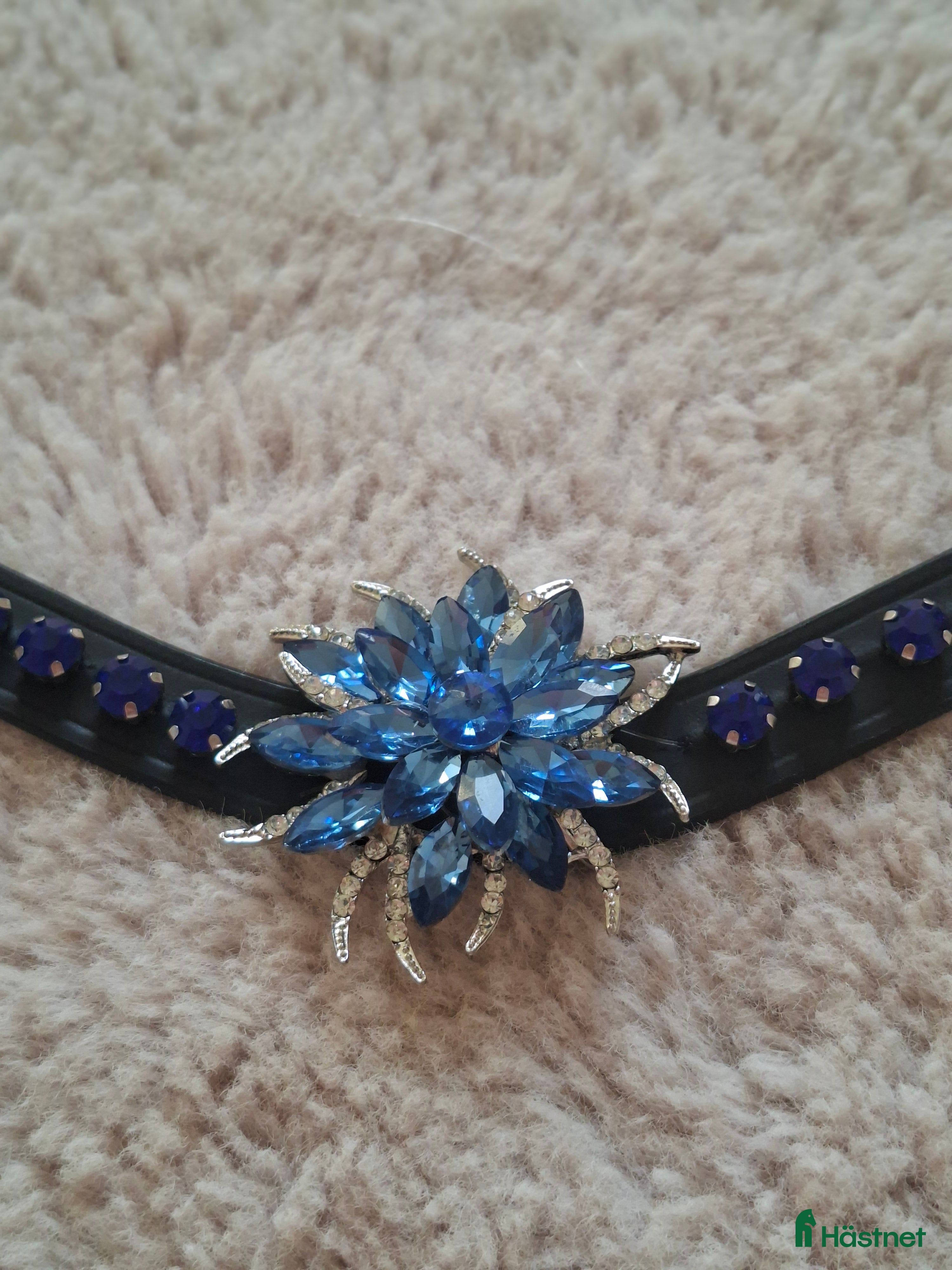 Övrig Hästutrustning hästutrustning till salu: Blått pannband stl cob i Jättendal - Annons 18