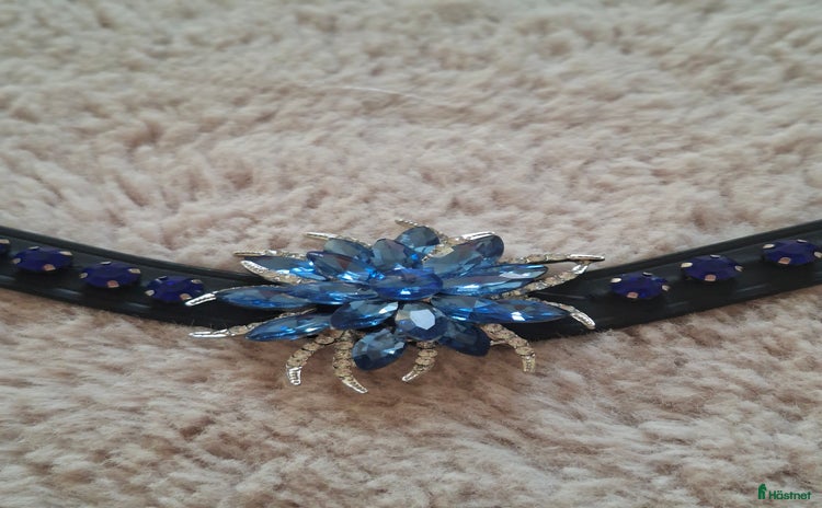 Övrig Hästutrustning hästutrustning till salu i Jättendal - Annons 10