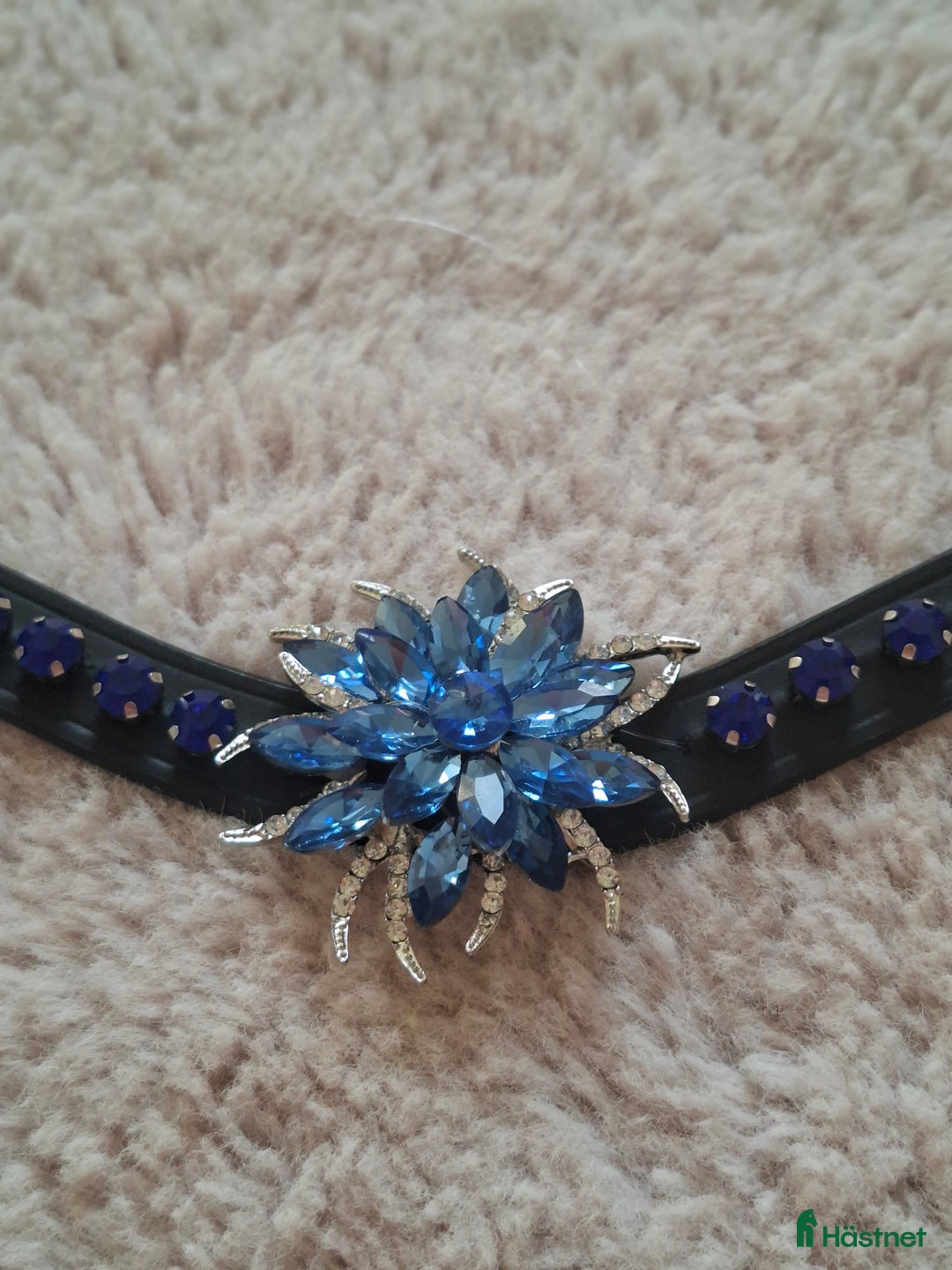 Övrig Hästutrustning hästutrustning till salu: Blått pannband stl cob i Jättendal - Annons 1