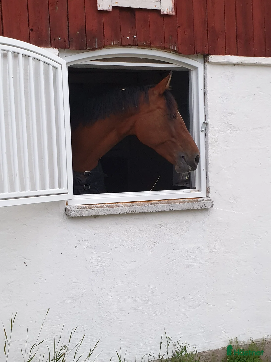  stallplats finnes: Stallplats  - Annons 3