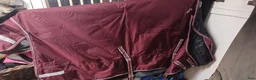 Täcken hästutrustning till salu: Vintertäcke 200g stl 125 - Annons 7