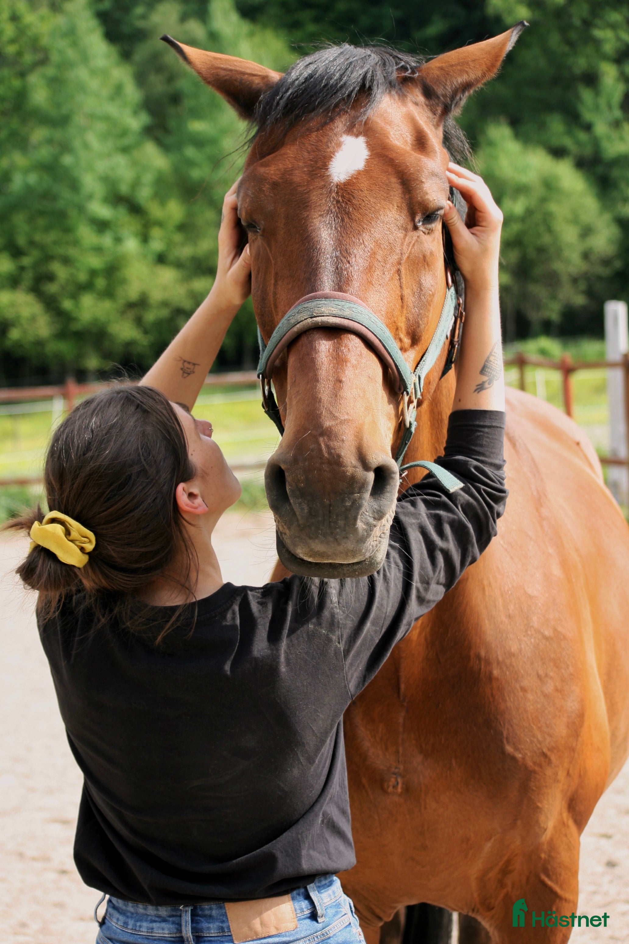  hästservice Equiterapi & Lymfdränage - Annons 4