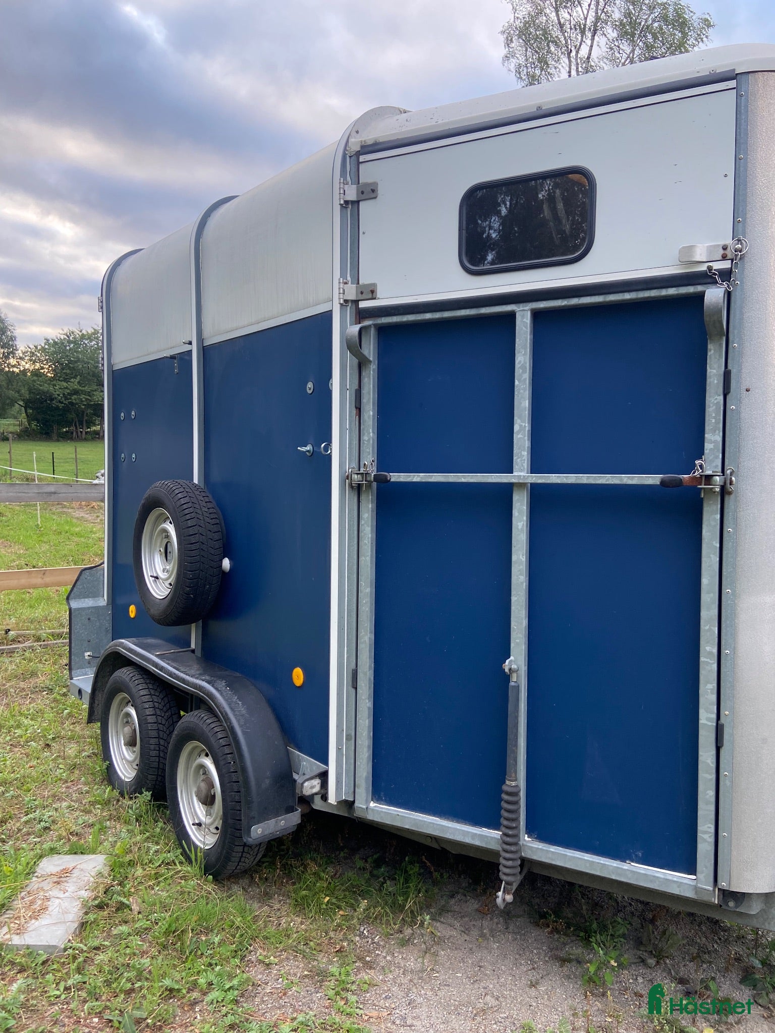 Hästtransporter  fordon & transport till salu: Superfin Ifor Williams  - Annons 7