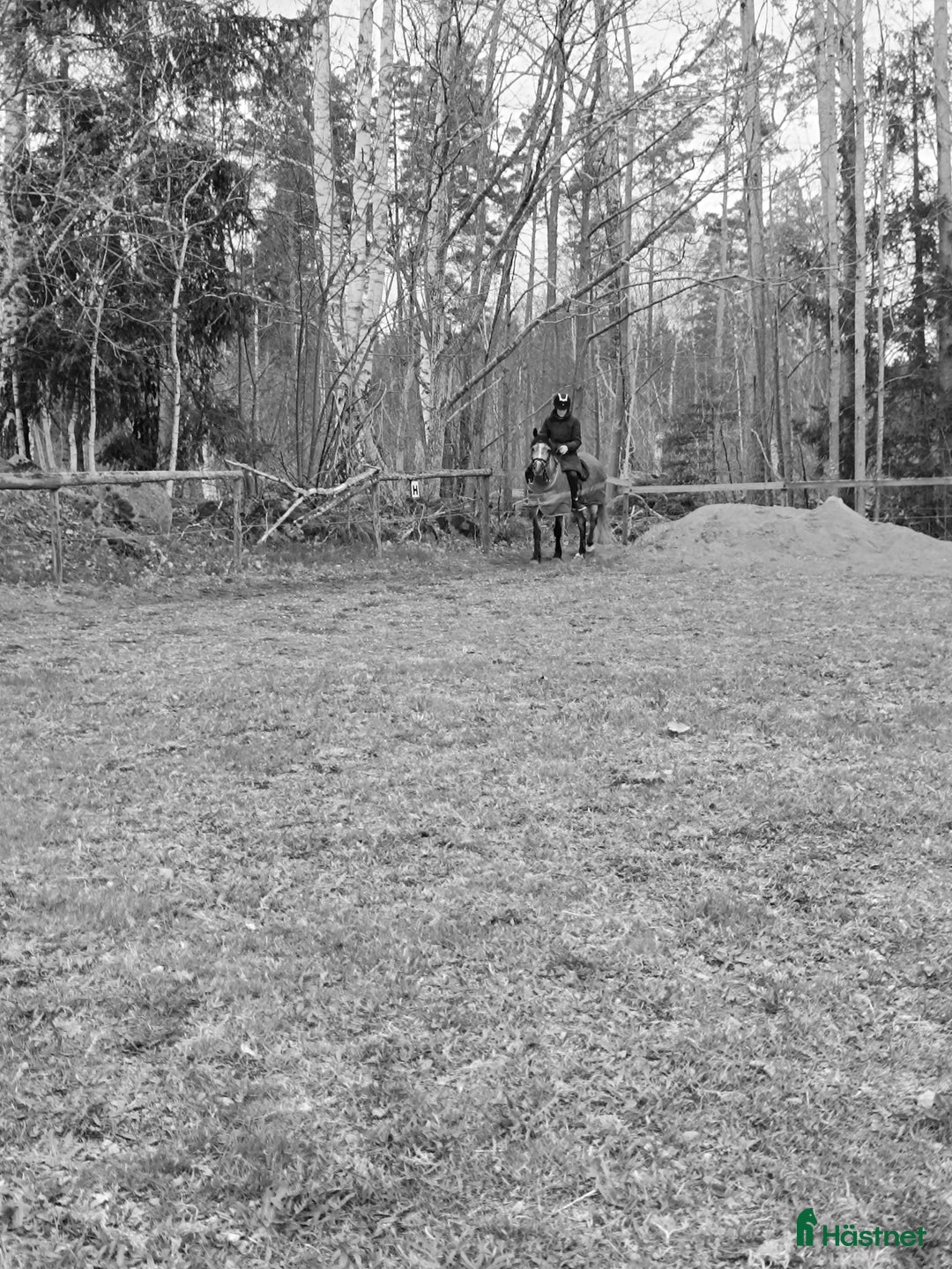  stallplats finnes: 2st stallplatser, ca 5km från Nybro centrum i Nybro - Annons 5