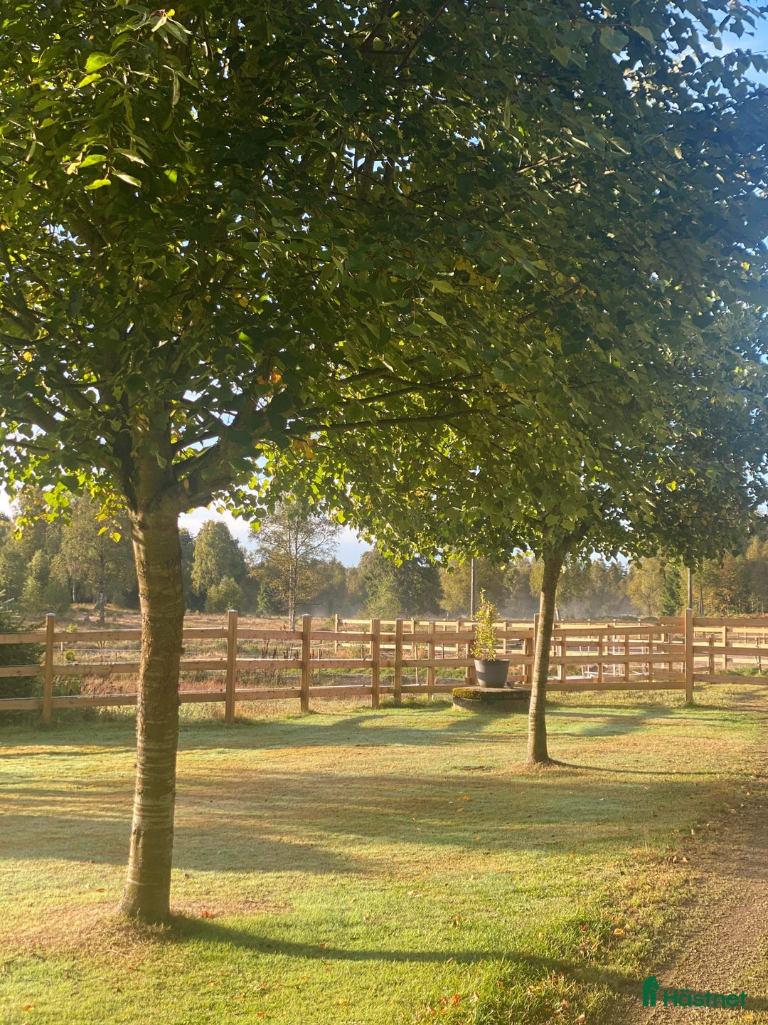 stallplats finnes: Boxplats ledig 6 km utanför Älmhult  i Älmhult - Annons 6
