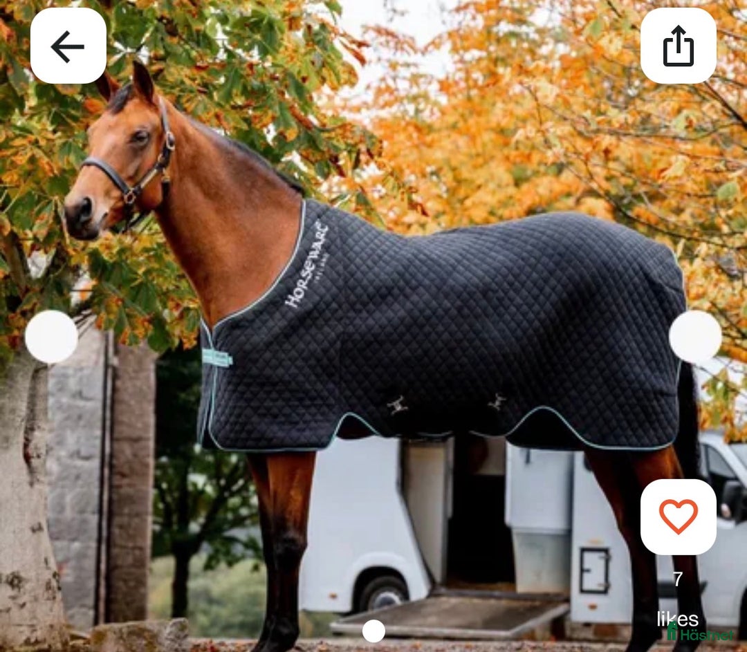 Övrig Hästutrustning hästutrustning till salu: Horseware autumn cooler i Norrköping - Annons 1