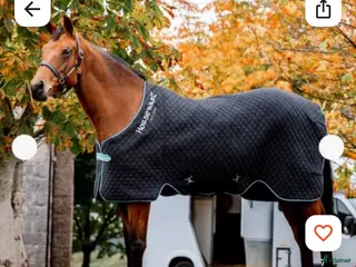 Övrig Hästutrustning hästutrustning Horseware autumn cooler i Norrköping - Annons 13