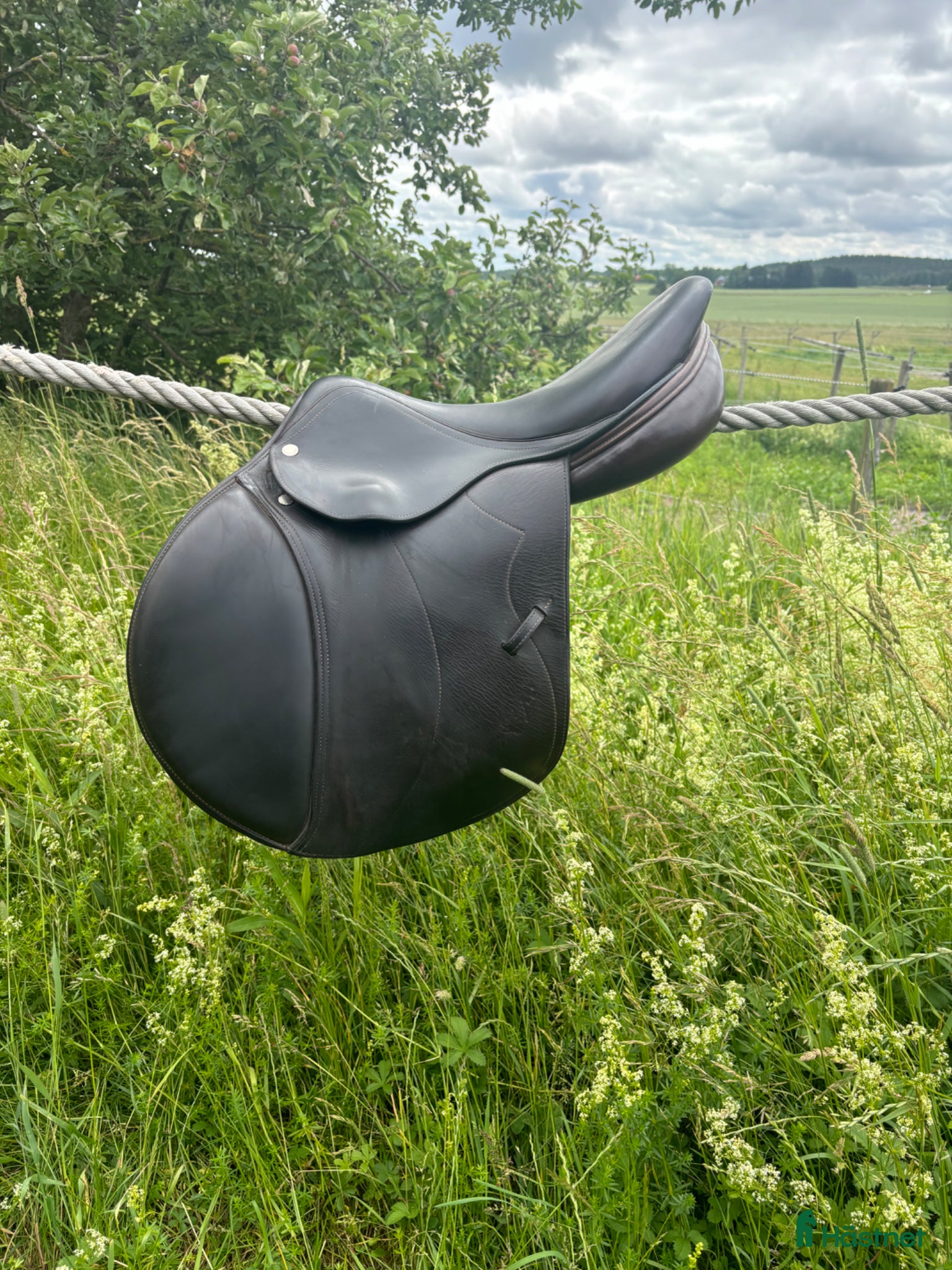 Sadlar hästutrustning Equipe Grand Prix - Annons 1