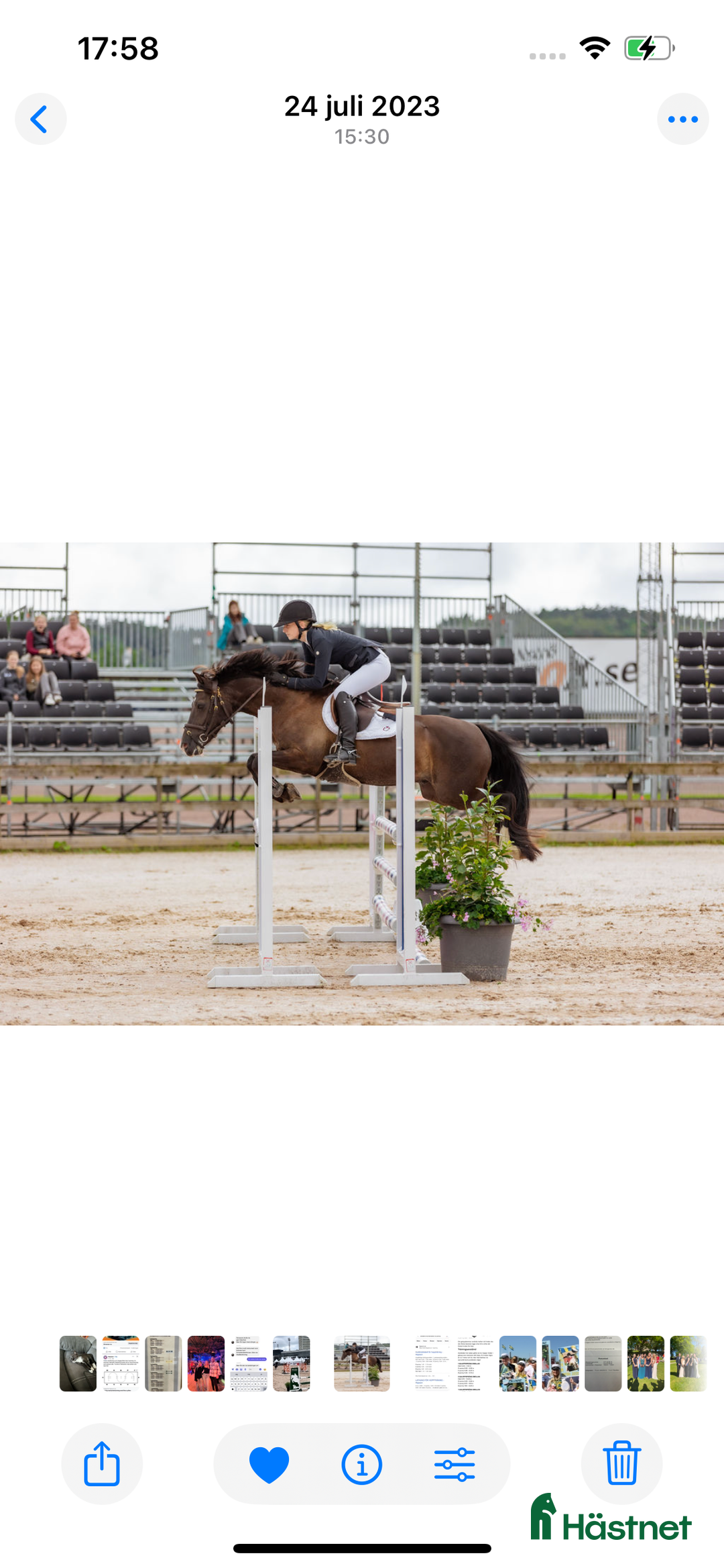 Hoppning hästar till salu: Trevlig D-ponny  i Ljungskile - Annons 1