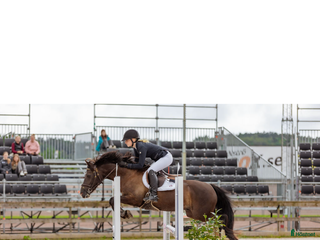 hästar Trevlig D-ponny i Ljungskile - Annons 14