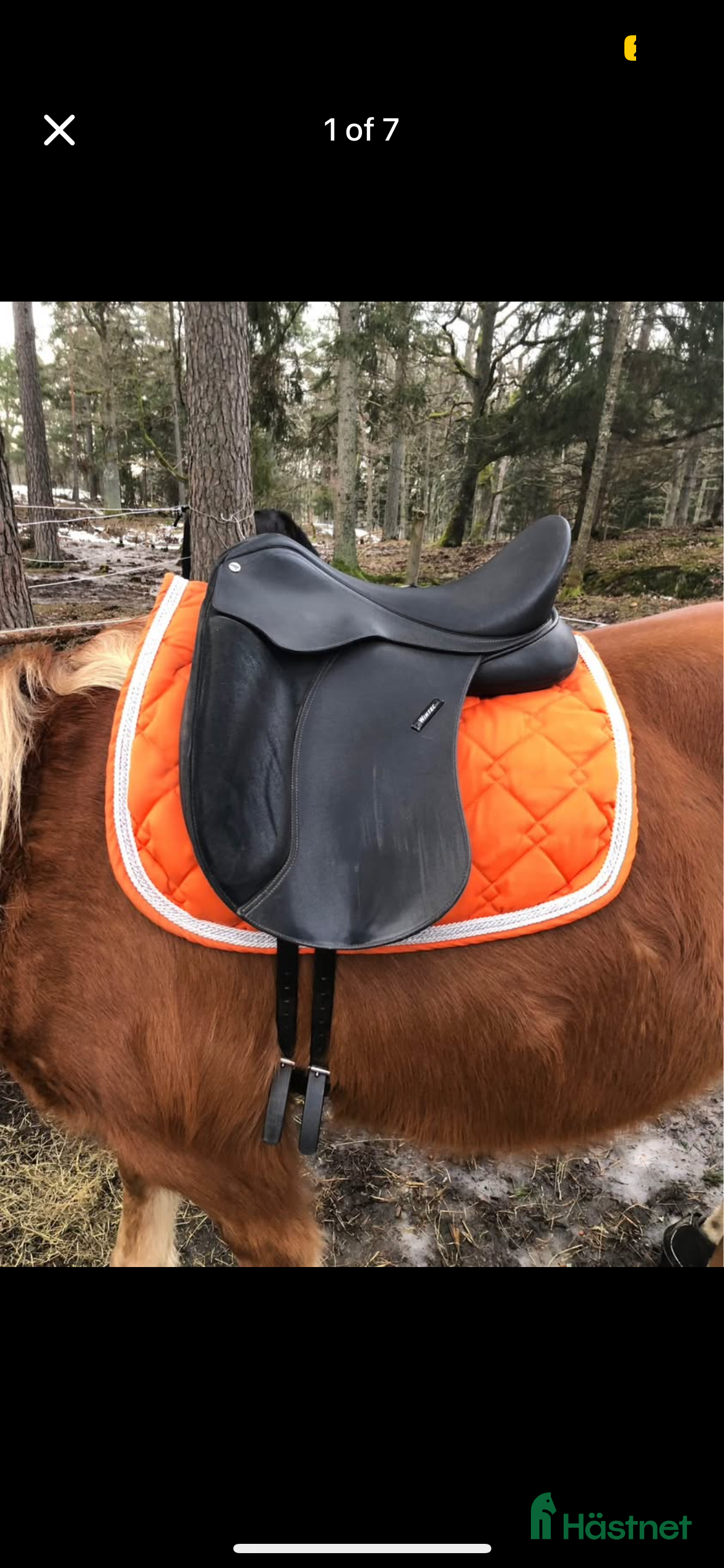 Sadlar hästutrustning Sadel wintec i Gustavsberg - Annons 14