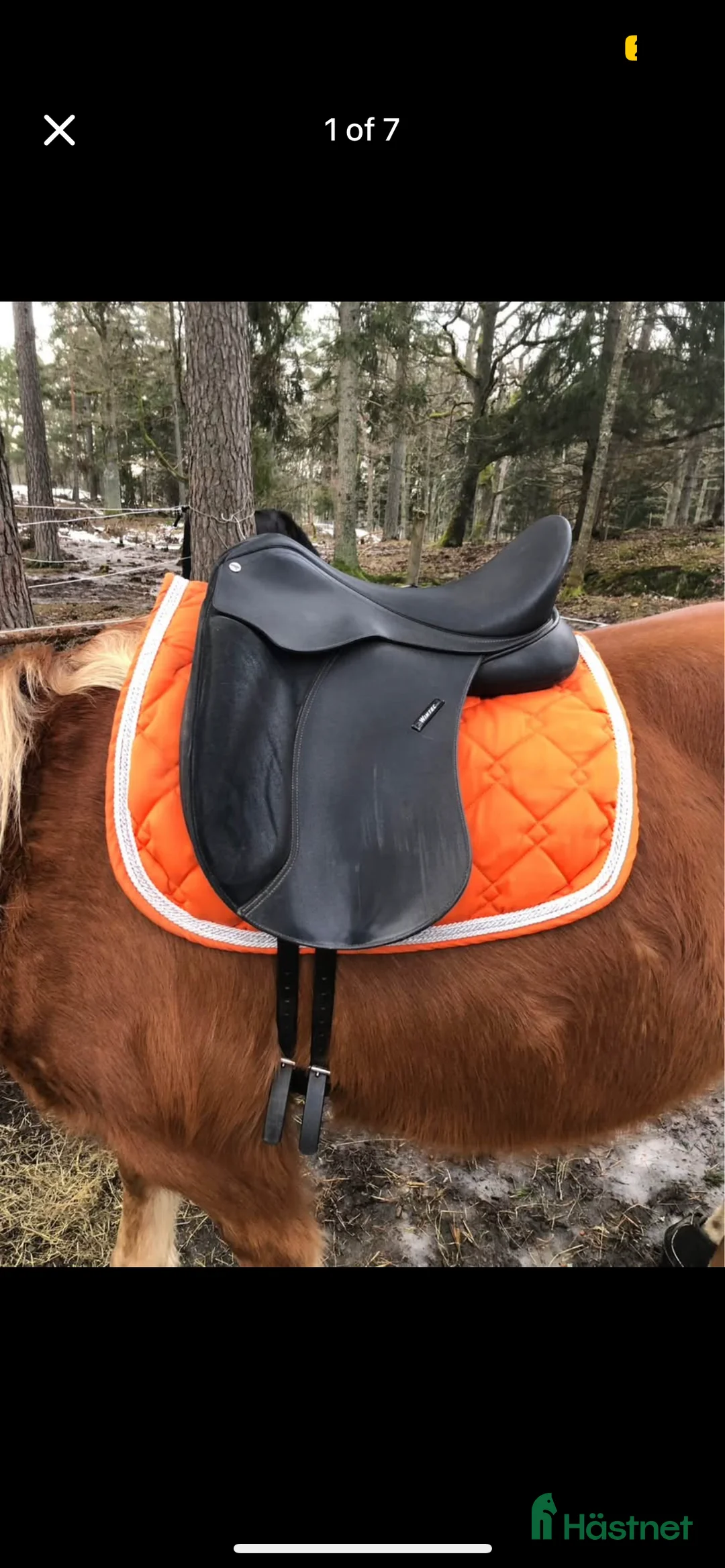 Sadlar hästutrustning till salu: Sadel wintec i Gustavsberg - Annons 1
